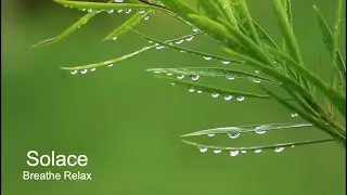 Relaxing Music & Rain Sounds - Breathe Music, Background Music, Sleep Music &bull; You & Me