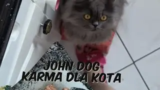 John dog- karma dla kota