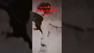 Werewolf killed by Nazi German in WW2