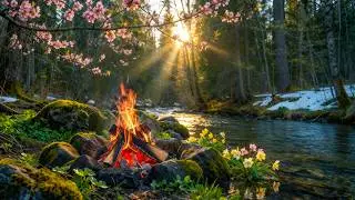 Early Spring Campfire Ambience 🌸🔥 Creek Sounds, Blossoms, and Gentle Forest Light