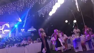 Surprise bridesmaids wedding toast!