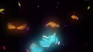 butterfly overlay