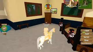 Breeding a Unique Coat on Wild Horse Islands