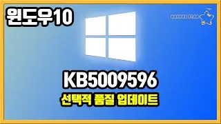 윈도우10 KB5009596 선택적 품질 업데이트[OrangeStar]