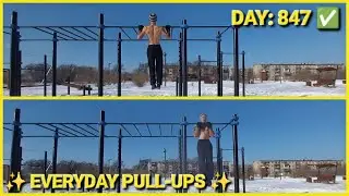 PULL-UPS TRAINING | DAY: 847✅️