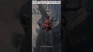 Caelid Top Secret Area & Boss | Elden ring