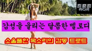 중년의 감성을 울리는 진중한 멜로디!! 5시간 연속 듣기 by 박성준