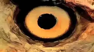 Doubleheart - Lizard