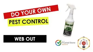 How to Get Rid of Cobwebs FAST | Web Out Cobweb Eliminator Tutorial