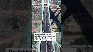 World's tallest bridge opens to traffic in China