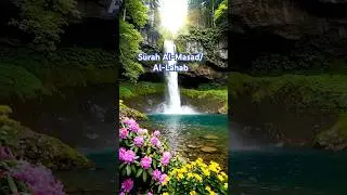 Surah 111 Al-Masad/ Al-Lahab (The Palm Fiber, Flame)HD#alquran #quranrecitation #quran