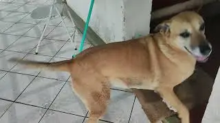 Chuva no Rincão.