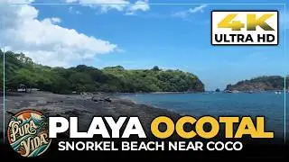 [4K] Walking Tour PLAYA OCOTAL, Costa Rica ☀️ TOP Snorkeling Beach #costarica #tourism
