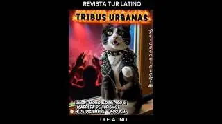 TRIBUS URBANAS REVISTA TUR LATINO Creado por Miguel Angel Zenteno Canaviri mangelrogel581@gmail.com