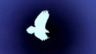 [- cntct]