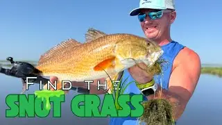 DockSide TV 'Beautiful Reds in Gin Clear Water'