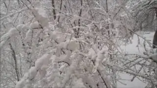 Апрель 2017