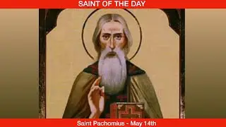 Saint Pachomius, Abbot - May 14th
