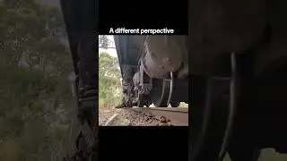 Crazy Train View. #australia #railway #train #awesome #trainspotting #transport #trains #railroad