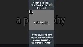 The First Bird Part 2F- Reversed- How Prophecy Works #shorts