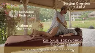Wisdom of the Spine  session overview part 2 of 3