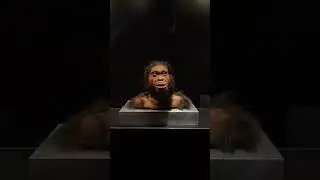 maropeng cradle of human kind