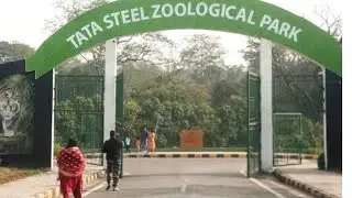 Aaj जंगल aa gaye