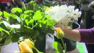 Bloom Project brings flowers to patients