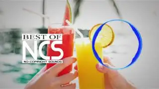 Extenz - Endless Summer [NCS BEST OF]
