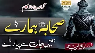 Sahaba Hamary Hamain Jaan Se Piary || Hafiz Khubaib Ahmad || Shan e Sahaba 2023