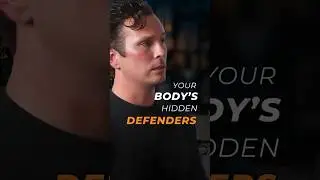 Minerals: Your Body&rsquo;s Offense & Defense