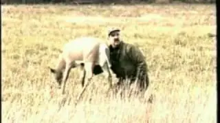 Tail-Wagger motion decoy tail in operation. Come-Alive Decoy Products motion decoys