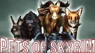 Skyrim Pets Of Skyrim Creation Club