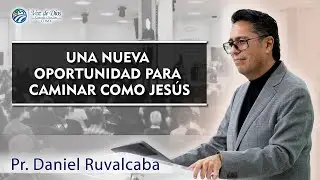 UNA NUEVA OPORTUNIDAD PARA CAMINAR COMO JESÚS. DOMINGO 5 DE ENERO