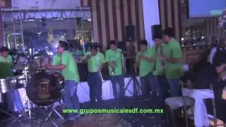 Banda Pedregal Para Siempre Grupos DF