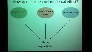 Understanding the response to multiple environmental signals of rice gene expression.