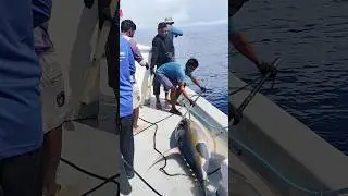 hi dadu Maldives #fishing #viral #fishingboat #fish #fishingship