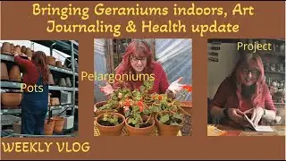 Bringing the geraniums indoors, Art journalling and Health update.