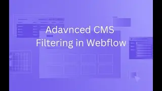 How to add webflow cms filter | cms filter finsweet | dynamic filtering webflow
