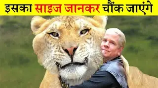 ये इतने बड़े होते हैं क्योंकि... | Biggest Animals People Kept as Pet