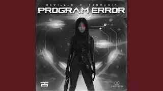 Program Error
