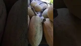 😂всю ночь разгружал😂 #cat #channel #zoo