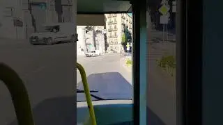 AMAT linea 101
