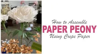 Easy to Make Paper Flower Peony on a Stem Using Crepe Paper
