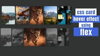 CSS Card Hover Effect Using Flex