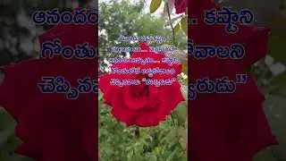 RadhaKrishna Healing Motivational Quotes|Lord Krishna Mankind #krishnavani #radhakrishna #motivation