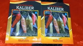 Unboxing Bibit Cabe Rawit Kaliber Original