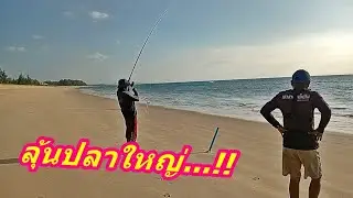 Catching big fish on the coast