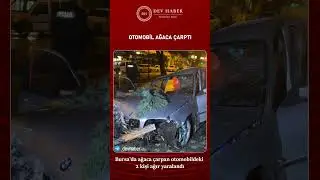Otomobil ağaca &ccedil;arptı