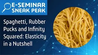 Spaghetti, Rubber Pucks and Infinity Squared: Elasticity in a Nutshell | E-seminar Sneak Peak